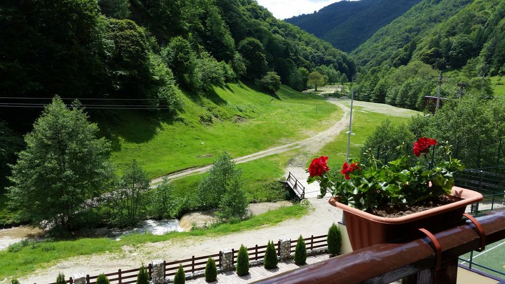 Pension Curmatura Stezii Răşinari Exterior foto
